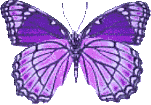 A graphic of a violet butterfly